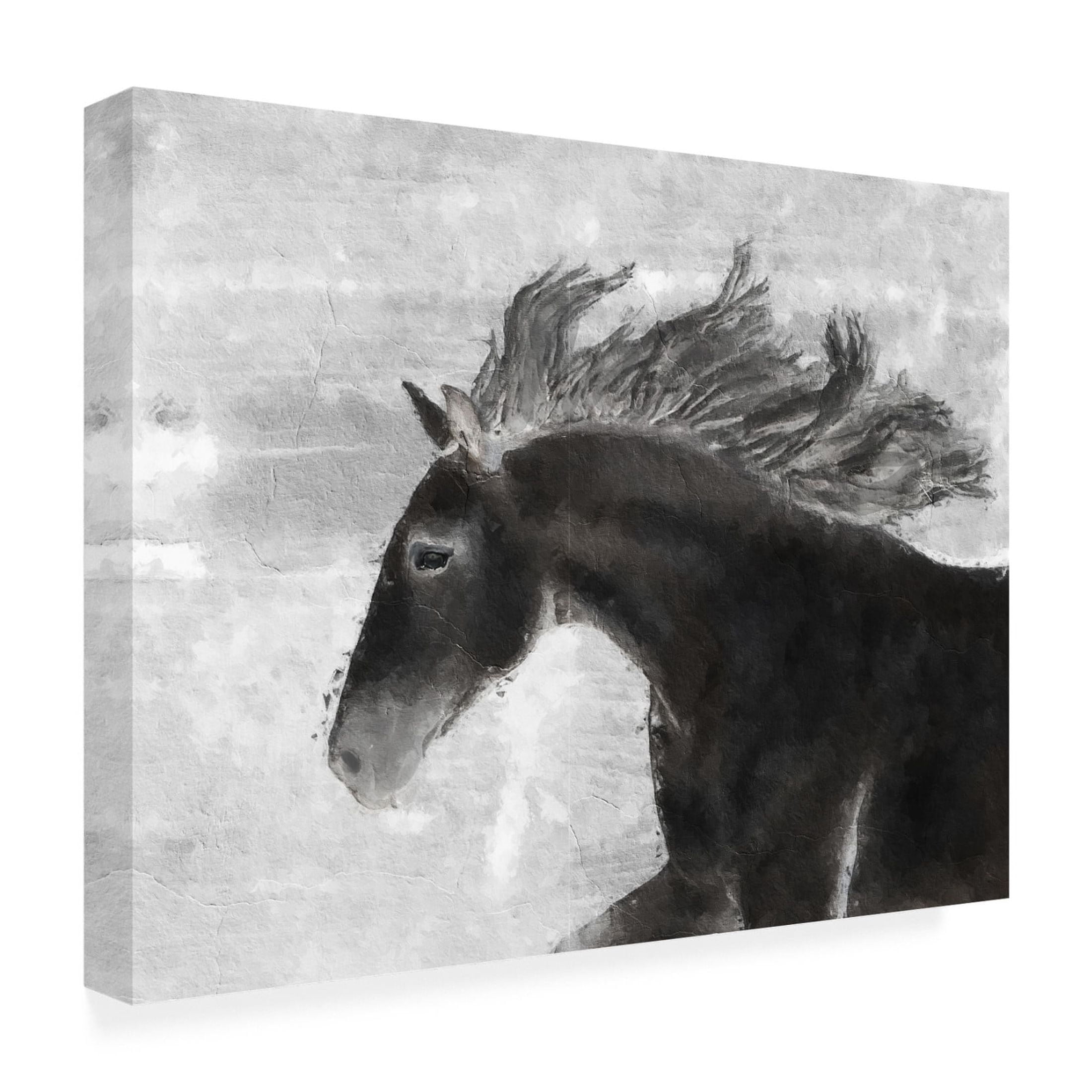 Canvas Wall Art - Sasha 'Black Horse' Wall Art for Living Room, Bedroom, or Office Décor by Trademark Fine Art - 24 x 18 Inches