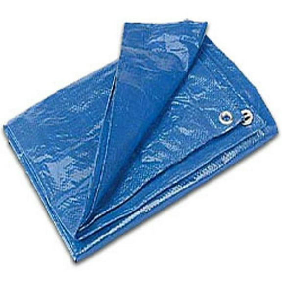 CWC Regular-Duty Tarp - 10' x 12', Blue (Pack of 12 tarps)