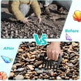 thumbnail image 4 of Pelle à Sable avec Pelle Tamis en Plastique pour la Plage Outils de Chasse en Verre Mer Noire Pelle à Coquillage avec Sac en Filet pour Enfants, 4 of 4