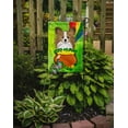 thumbnail image 2 of Carolines Treasures BB1992GF Papillon St. Patricks Jour Drapeau Jardin, 2 of 3