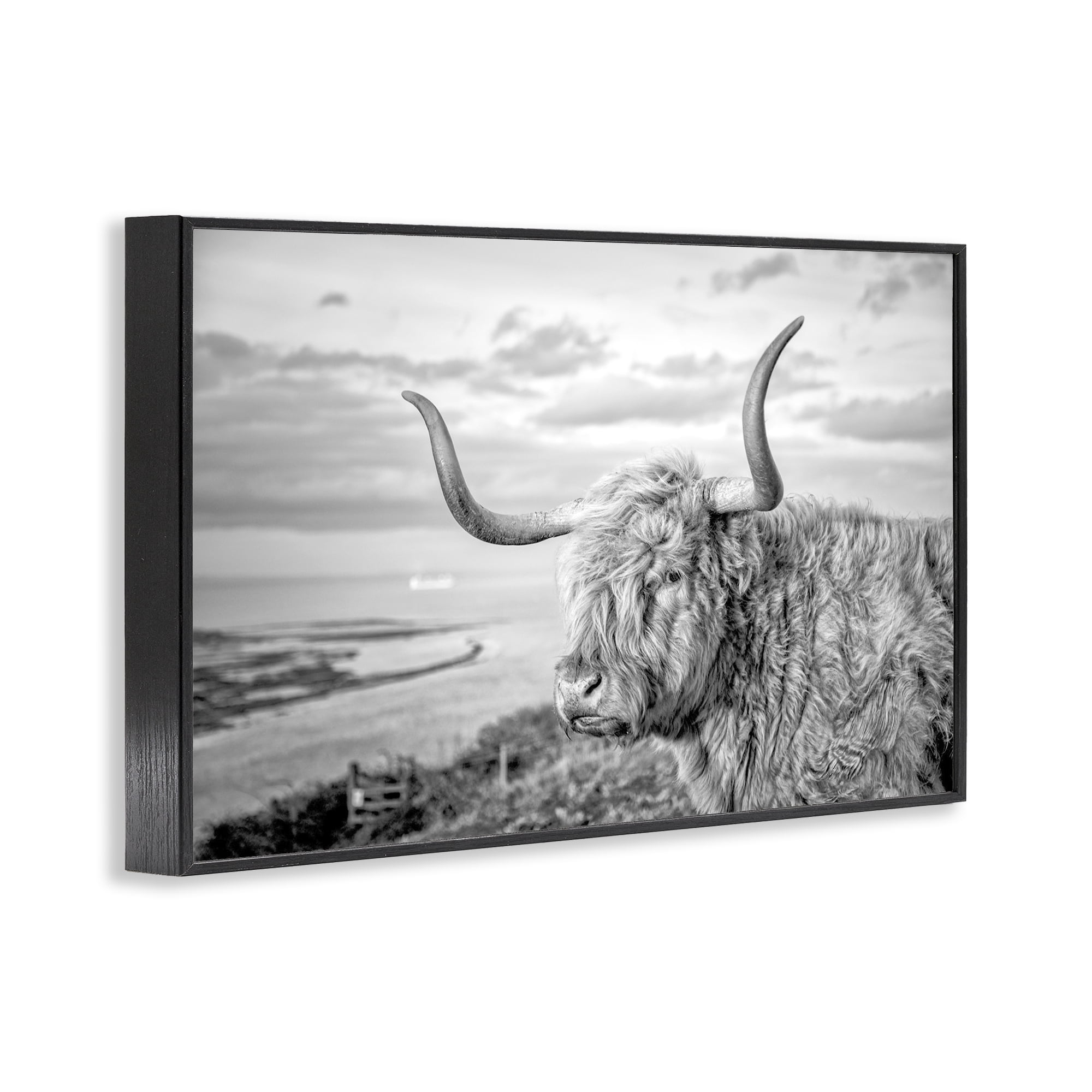 Stupell Industries Cattle with Ocean Breeze Animals & Insects Photography Black Framed Art Print Wall Art, 30 x 20