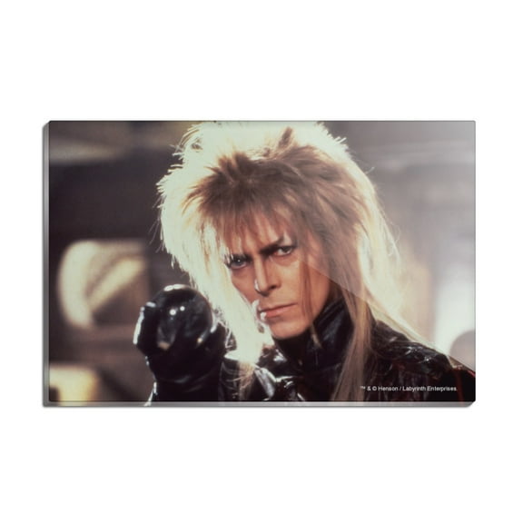 Labyrinth Goblin King Crystal Ball David Bowie Jareth Rectangle Acrylic Fridge Refrigerator Magnet