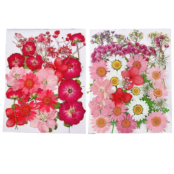 2 copias de flores prensadas, flores de resina para molde de resina, hojas de flores secas para hacer accesorios de velas Diy