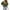 Army Green #061, variant on Knosfe Women's Eyelet Tops Puff Sleeve Tops Embroidered Dressy Casual White Blouse Hollow Out V Neck Top Button Down Shirts Green XL