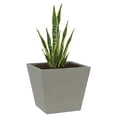 thumbnail image 1 of Maceta Cuadrada Elly Decor Clavel con Drenaje Color Gris Cemento 30 x 30 cm, 1 of 6