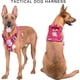 thumbnail image 4 of Adjustable training vest for dogs, comfortable dog vest, harness for large dogs, multicolored Ref: 2245, 4 of 5