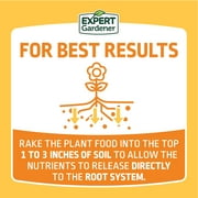 Expert Gardener Flower Plant Food Fertilizer 10-10-10, 4 lb.