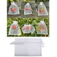 thumbnail image 3 of 100PCS Fruit Protection Bag Fruit Mesh Bag Plant Fruit Net Bag Breathable Protection Bag Bird and Insect Prevention Fruit Fly Barrier Bag Anti Bite Bird Pecking Orchards 20cmx30cm White, 3 of 9