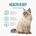 thumbnail image 2 of Chewer's Joy Tuna & Salmon, Tuna & Turkey, Tuna & Chicken Wet Cat Food Variety Pack, High Protein, 12 Cans (85g), 2 of 13