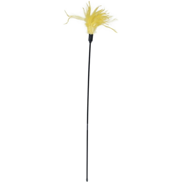 feather wand