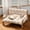 Brown, variant on Cat Bed Sofa with Elevated Wood Frame, Washable Plush Pet Couch for Cats and Small Dogs, Gray