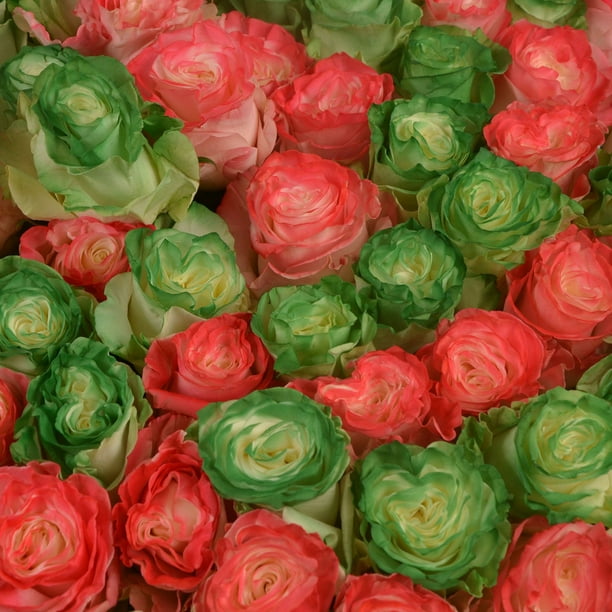 Member's Mark Illusion Roses, 96 stems, Choose color variety