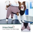 thumbnail image 5 of Kuoser Dog Recovery Suit for Back Legs,Soft Dog Surgery Suit with Sleeves to Stop Licking, Pink, XL, 5 of 9