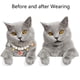 thumbnail image 4 of Collar de perro perla collar joyería para cachorros - collar de boda de gato de pedrería brillante para mascotas, 4 of 5