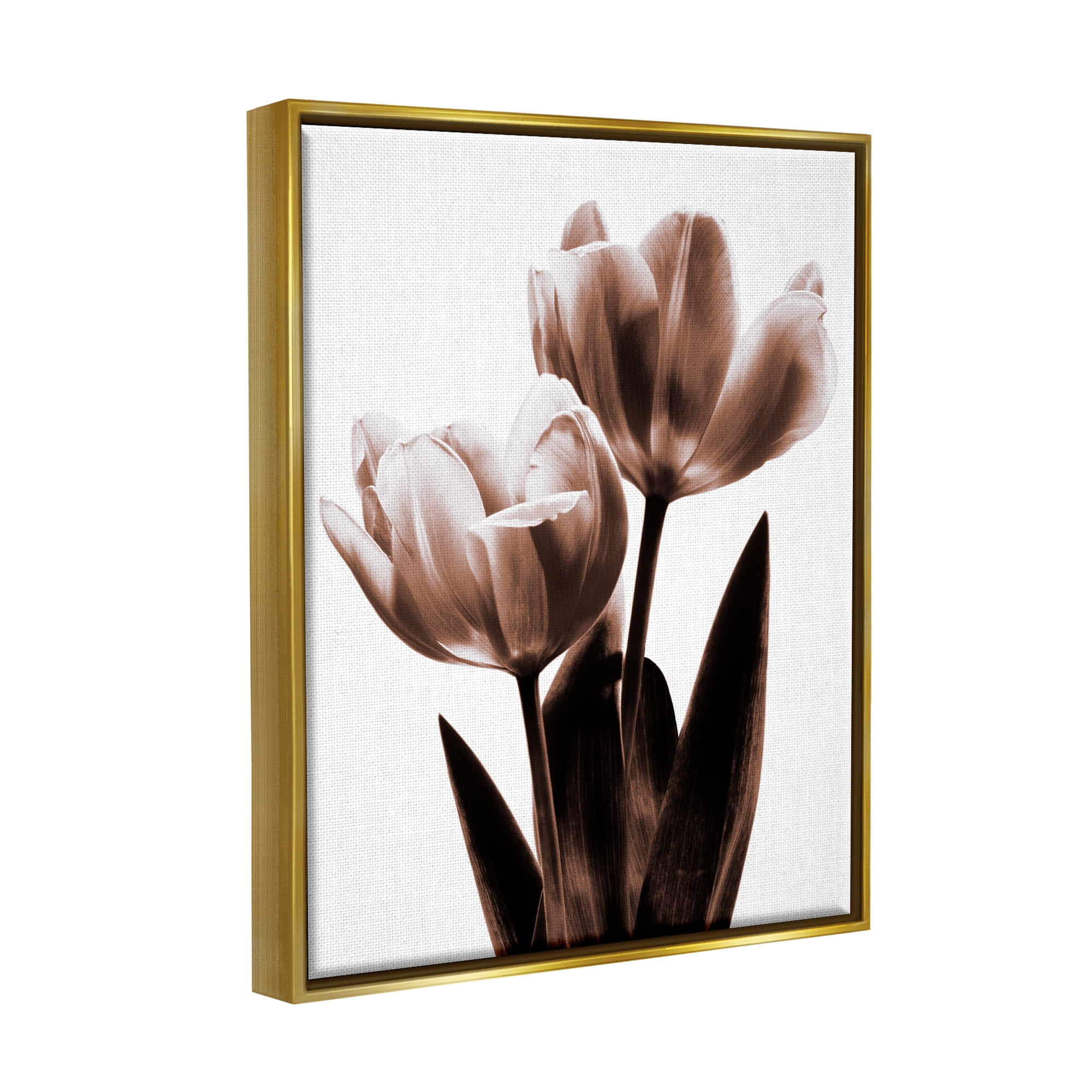 Stupell Modern Tulip Silhouette Duo Botanical & Floral Photography Gold Floater Framed Art Print Wall Art