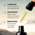 thumbnail image 2 of Aceite Facial Cold Current Kelp 10 ml Lavanda Costera, 2 of 6