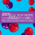 Splash Blast, Wild Berry Flavor Water Beverage, 8 Fl Oz Plastic Bottles