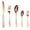Rose Gold, variant on Vikakiooze Sizzling savings Cutlery Set 5-piece Stainless Steel Cutlery Set Knife Spoon And Fork Set Cutlery Set Mirror Polished Smooth Edges Hand Wash Recommended