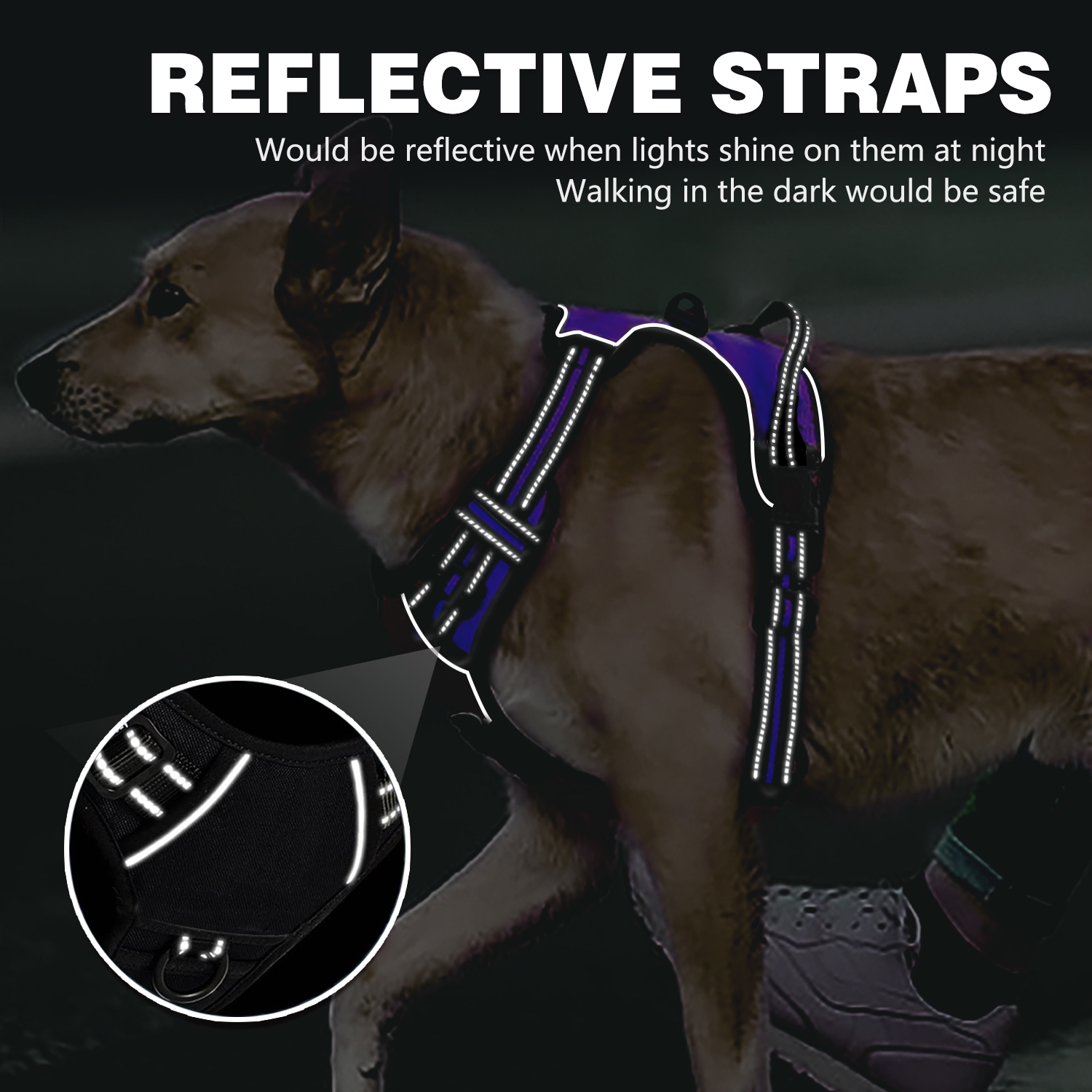 Astarin No-Pull Dog Harness, Small, Blue photo 6