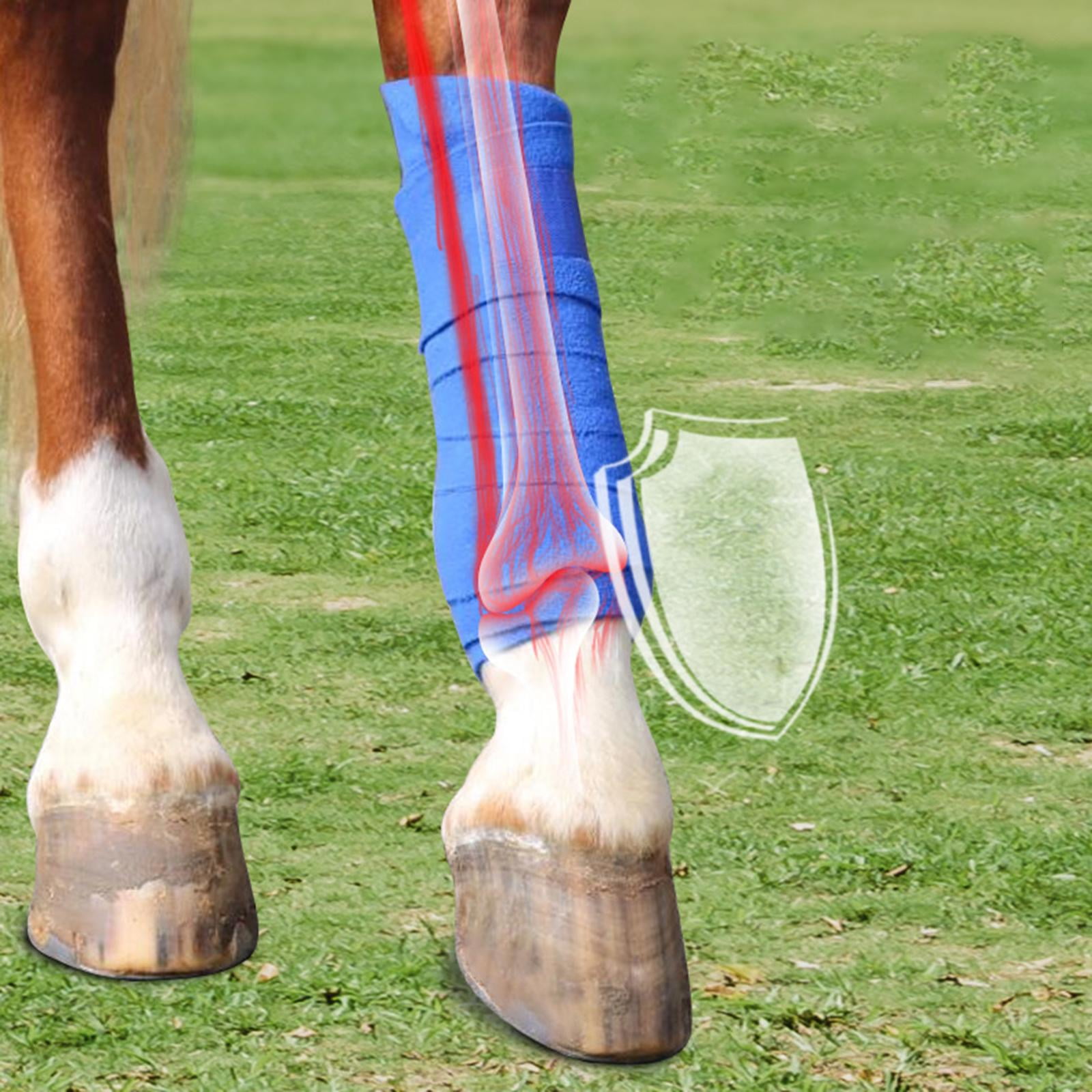 Bende Per Zampe Cavallo In Pile - 4 Rotoli Da 250 Cm X 12 Cm, Protezione Per Allenamento E Gare - Foto 3