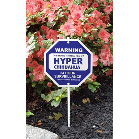 Imagine This This Home Protected By Hyper Chihuahua Garden Sign