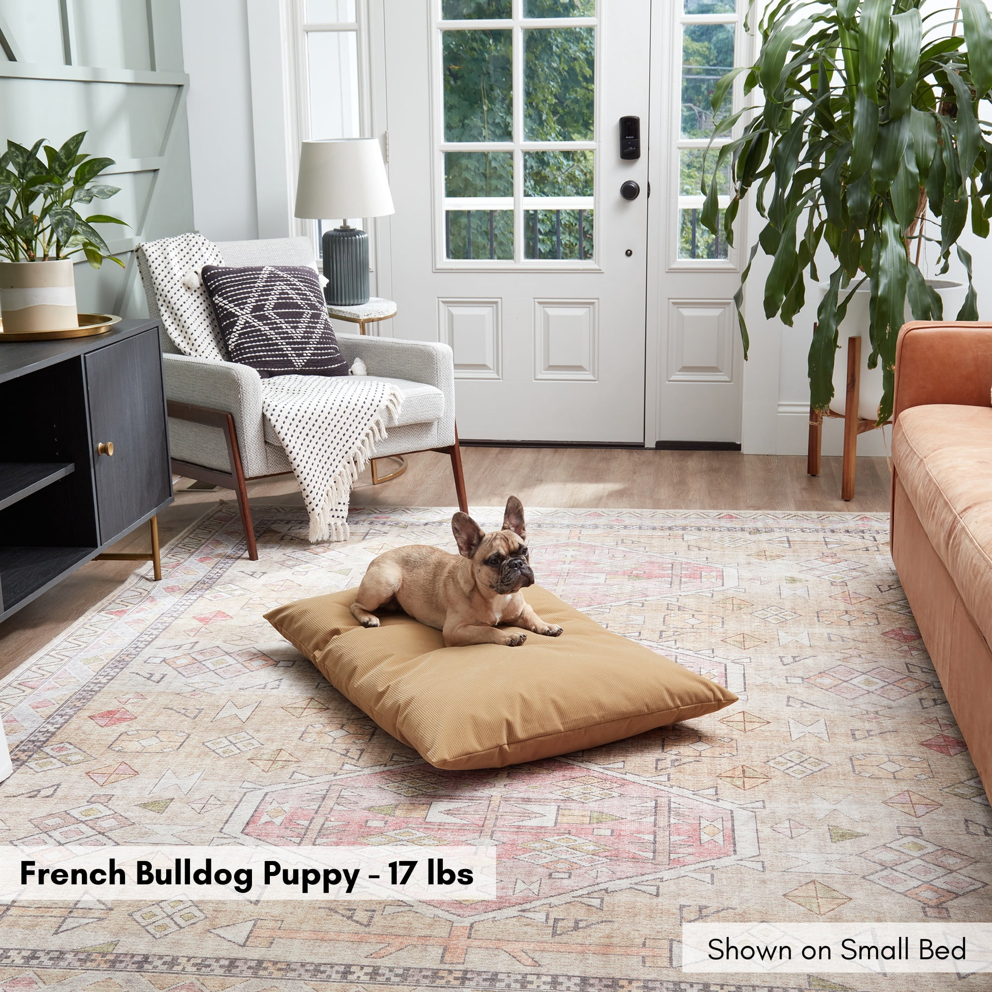 Happy Hounds Charlie Corduroy Reversible Throw Dog Bed, Small (36" x 24"), Camel