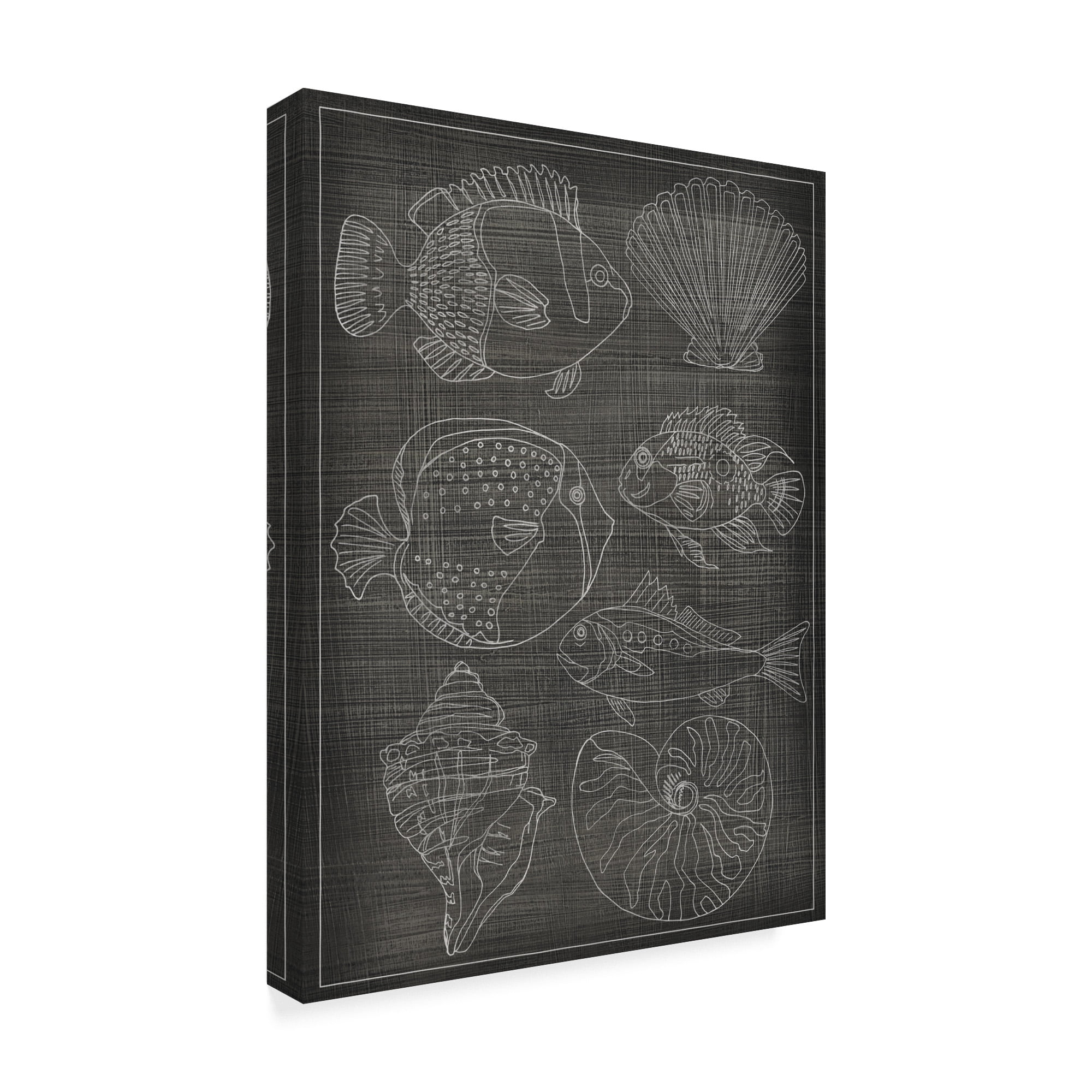 Trademark Fine Art 'Sea Chart I' Canvas Art by Chariklia Zarris