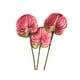 thumbnail image 1 of 3 Flores de Anturio Artificiales de 22.8 Pulgadas para DecoracióN del Hogar, Ramo y Hojas y DecoracióN de Boda Nupcial (Rosa), 1 of 5