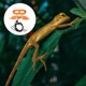 thumbnail image 5 of VERDANVERSE 5Ud Arnés De Reptil Ajustable De Cuero Con Ala Para Pequeñas Mascotas, 5 of 5