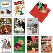 10 Assorted PetiGreet Cats Christmas Boxed and Funny Cat Christmas Cards w/ Envelopes - Ten Different Merry Xmas Designs Hilarious Variety Box for Seasons Greetings and Happy Holidays A5559XSG-B1x10
