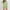 Army Green, variant on Early Access Deals Ofreoo Women's Fashion Casual Long Sleeve Round Neck Top Plus Pants Sweater Set Sweatsuits Women 2 Piece Outfit,Plus Size ,Size S-XL