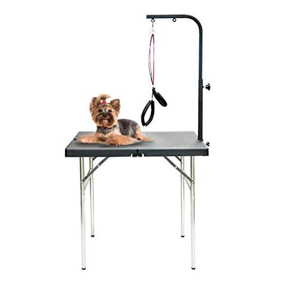 Professional pet Grooming Table with Double leashes and clamp for Large and Medium Dogs (Portable (32 * 20 inch))