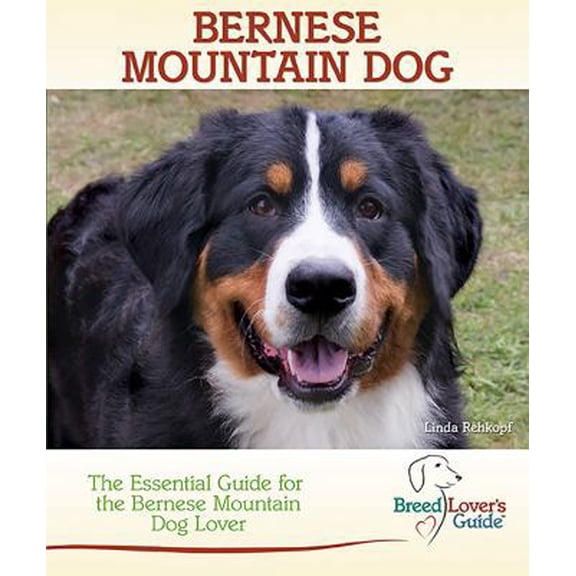 Pre-Owned Bernese Mountain Dog: The Essential Guide for the Bernese Mountain Dog Lover (Breed Lover's Guide) Paperback
