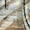 Rhythm Abstract, variant on Elephant Stock New Zebra Ii Wall Art - Horizontal Canvas Wall Art - Living Room Wall Decor - Abstract Canvas - Beige And Gold Decor By Pi Galerie - 12" x 8"