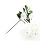 thumbnail image 4 of COSMOBETTY 1Ud Flor Artificial Gardenia De Material Exquisito Para De Interiores, 4 of 8