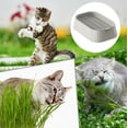 thumbnail image 5 of Cat Grass Planter for Indoor Hydroponic Wheatgrass Seed Sprout Tray Organic Cat Grass Growing Kit (No Seeds Included) Soilless Pot Planting Box, 5 of 6