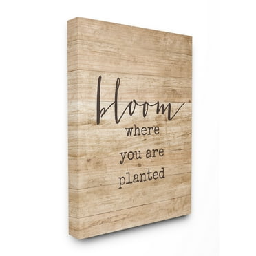 Stupell IndustriesBloom Where You're PlantedCanvas Wall Art by Lettered and Lined