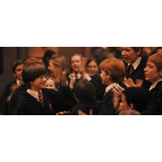 Harry Potter: The Complete 8-Film Collection (Blu-ray) (Standard Edition)