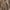 MOSSY OAK BOTTOMLAND, variant on Men's Mossy Oak® Bottomland Fieldblazer Tall Boot