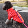 thumbnail image 4 of Guardoinrt Comfortable Wear Dogs Rain Down Jacket Dog Will Love Easy To Clean Durable Dogs Cold Winter Coats silver L 1Set, 4 of 6