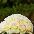 thumbnail image 5 of 16 Heads Silk Rose Flowers in Glass Vase with Faux Water, 5 of 5