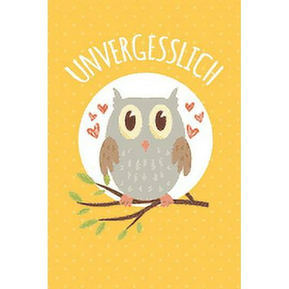 Unvergesslich: Diskretes Passwort Buch mit Register zum Verwalten und Organisieren von persönlichen Internet Zugangsdaten und PINs - Mit süßer Eulen Illustration (Paperback)