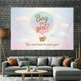 thumbnail image 2 of Bear Gender Reveal Backdrop Cute Hot Air Balloon Boy or Girl Reveal Photography Background Pastel Pink Blue Clouds Newborn Baby Shower Party Decorations Banner Supplies Photo Booth Props, 2 of 6