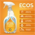 ECOS All Purpose Cleaner, Orange 22 fl oz