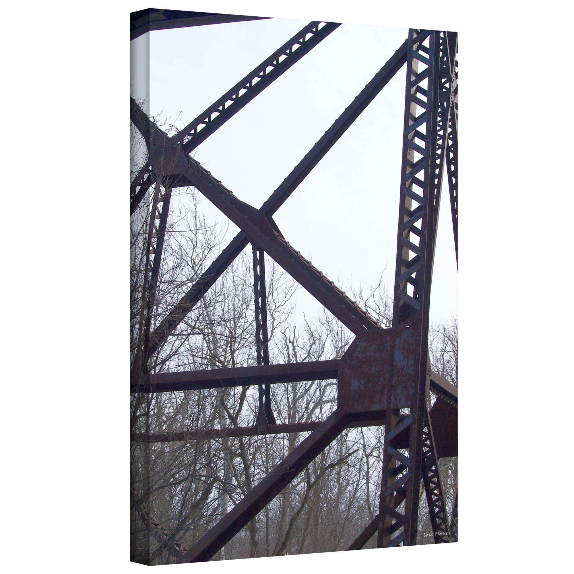 Lora Mosier "Underbelly" Gallery-Wrapped Canvas