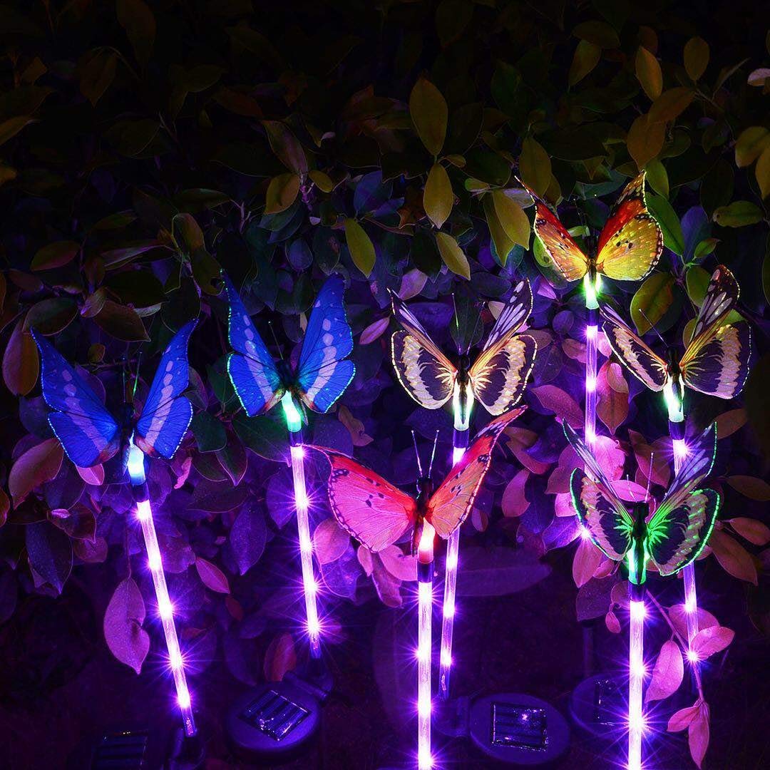 Garden Solar Lights Outdoor, Pack Solar Stake Lights Multi-Color Changing  LED Butterfly, Fiber Optic Butterfly Decorative Lights with a Purple LED Light  Stake (Outdoor Solar Garden Stake Lights)