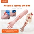 thumbnail image 2 of VEVOR Kit de práctica de flebotomía, kit de entrenamiento intravenoso de venopunción intravenosa, kit de brazo de práctica IV de alta simulación con bolsa de transporte, práctica y habilidades, 2 of 8