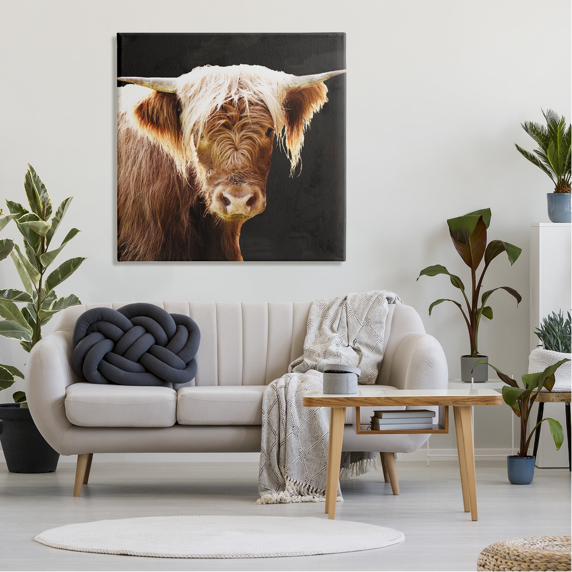 Stupell Industries Brown Wooly Cattle Animals & Insects Photography Gallery Wrapped Canvas Art Print Wall Art, 36 x 36