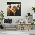 thumbnail image 3 of Stupell Industries Brown Wooly Cattle Animals & Insects Photography Gallery Wrapped Canvas Art Print Wall Art, 36 x 36, 3 of 8