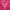 Heliconia, variant on Celebrate Life Breast Cancer Support Women Plus Size Graphic Tee Tees Brisco Brands 3X